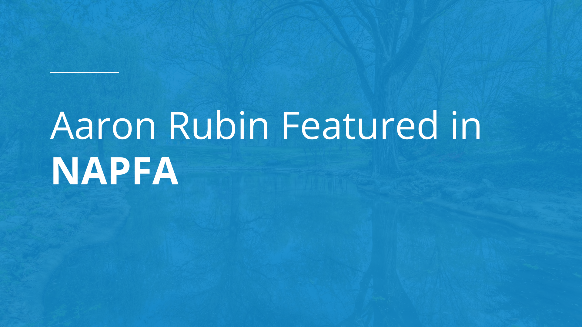 Aaron Rubin Featured in NAPFA_DEI program mentor